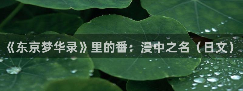 西西漫画屋：《东京梦华录》里的番：漫中之名（日文）