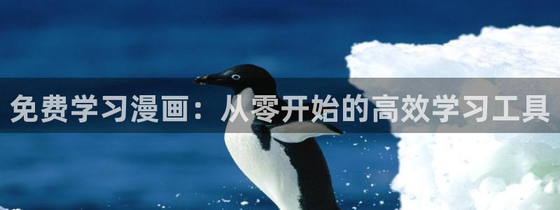 动漫漫画屋：免费学习漫画：从零开始的高效学习工具