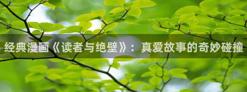 免费漫画奇漫画屋：经典漫画《读者与绝壁》：真爱故事的奇妙碰撞